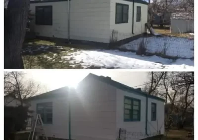 Professional Painter